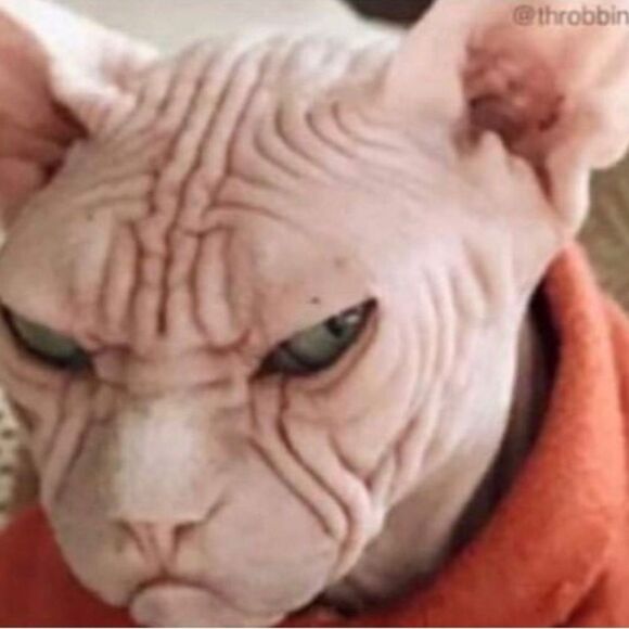 Banana Republic Black Skirt - Picture 7 of 7